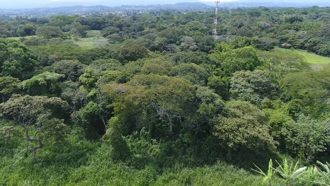 Home Construction Site For Sale in La Garita - Gallery image 7