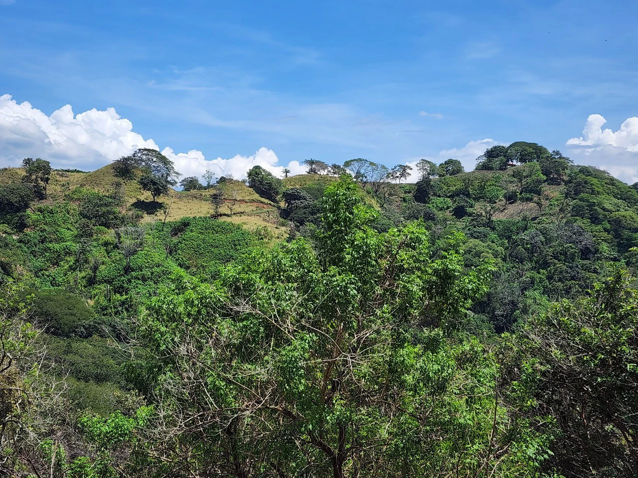 Countryside Home Construction Site For Sale in Atenas - Gallery image 14