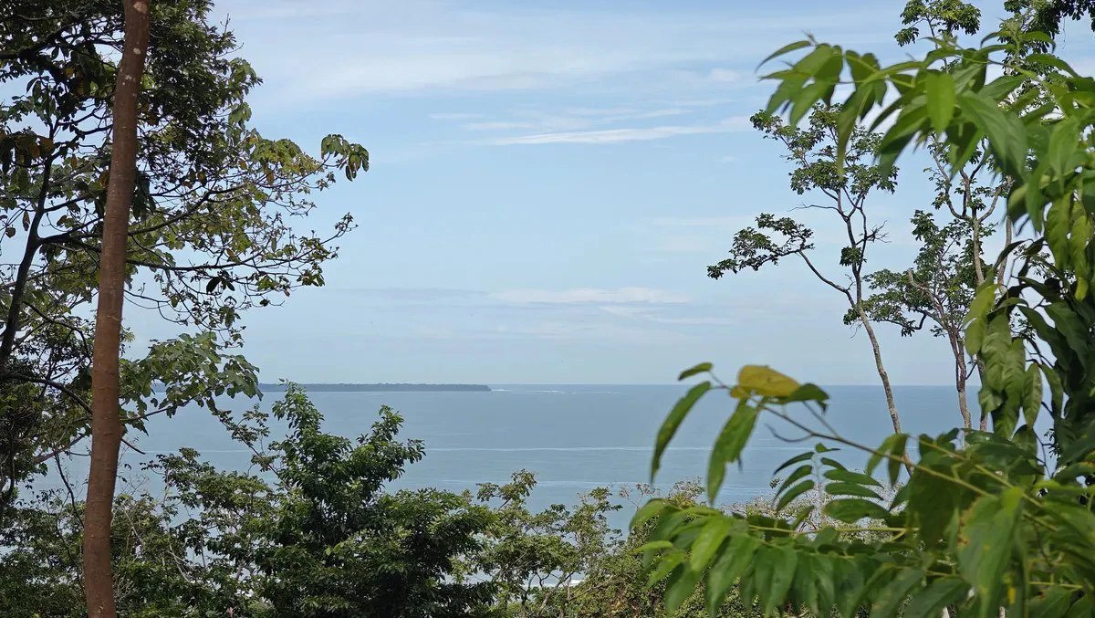 ID 345: 6,763m² Ocean View Development Land for Sale in Puerto Viejo - Gallery image 11