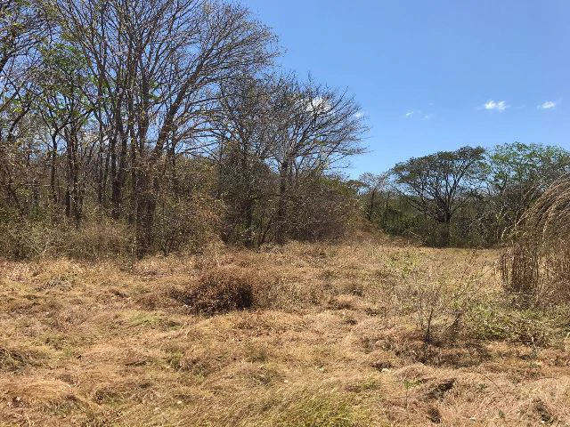 Huge terrain for sale in Guardia close to the International Airport of Liberia - Gallery image 28