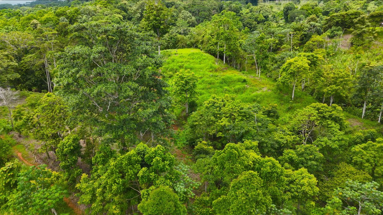 GULF VIEW PROPERTY IN PUERTO JIMENEZ, COSTA RICA - Gallery image 16