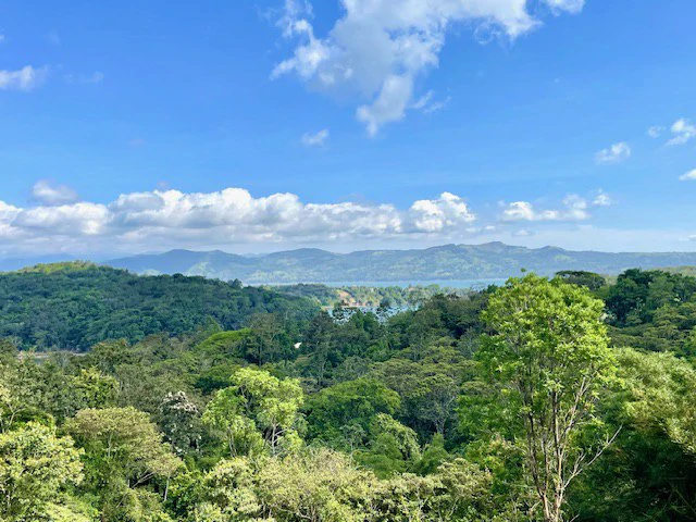 LG-002 Terreno Top Nuevo Arenal: Premium 1.45-Acre Gated Homesite in Nuevo Arenal | Panoramic Lake & Volcano Views, Private Boat Dock & Clubhouse - Gallery image 3