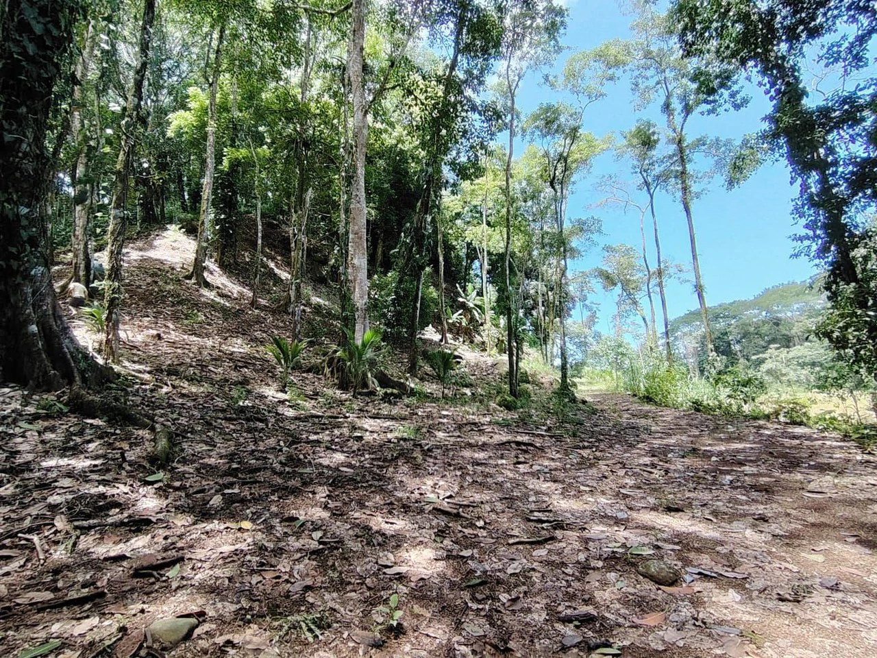 TERRENO EN VENTA, PUNTARENAS.: Mountain Home Construction Site For Sale in Hatillo - Gallery image 12