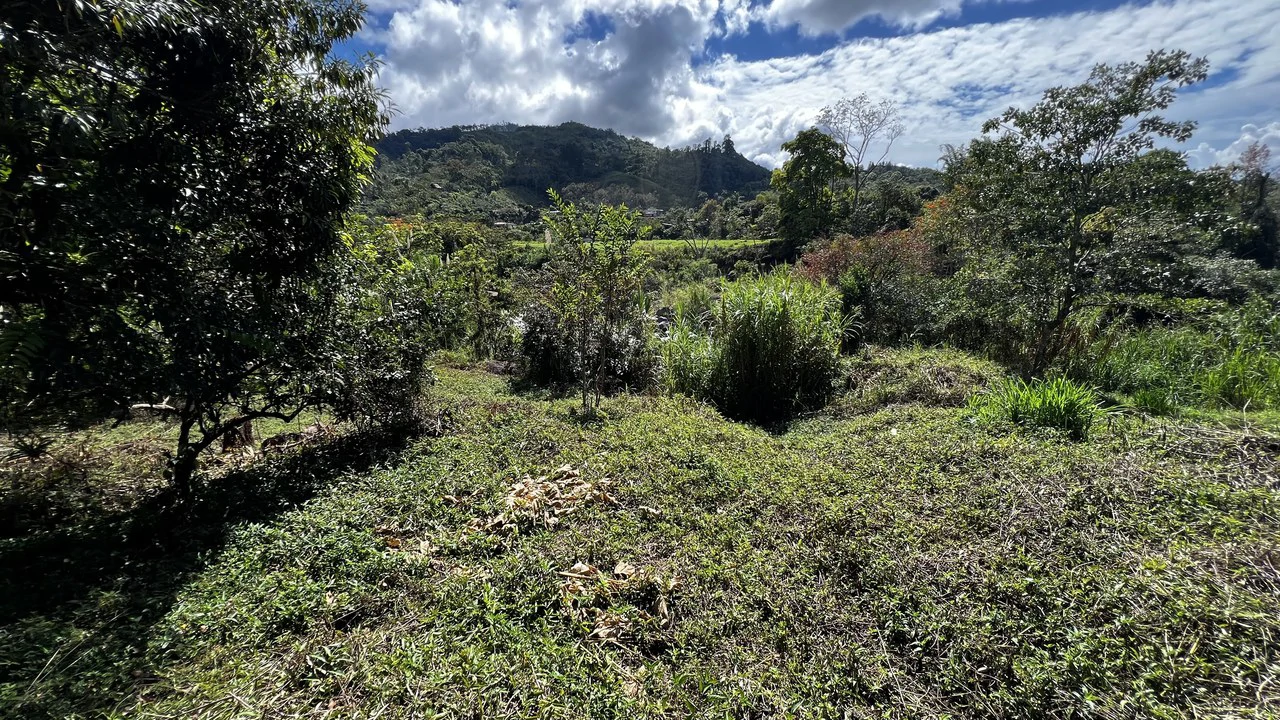 Mountain Home Construction Site For Sale in San Isidro del General - photo 10