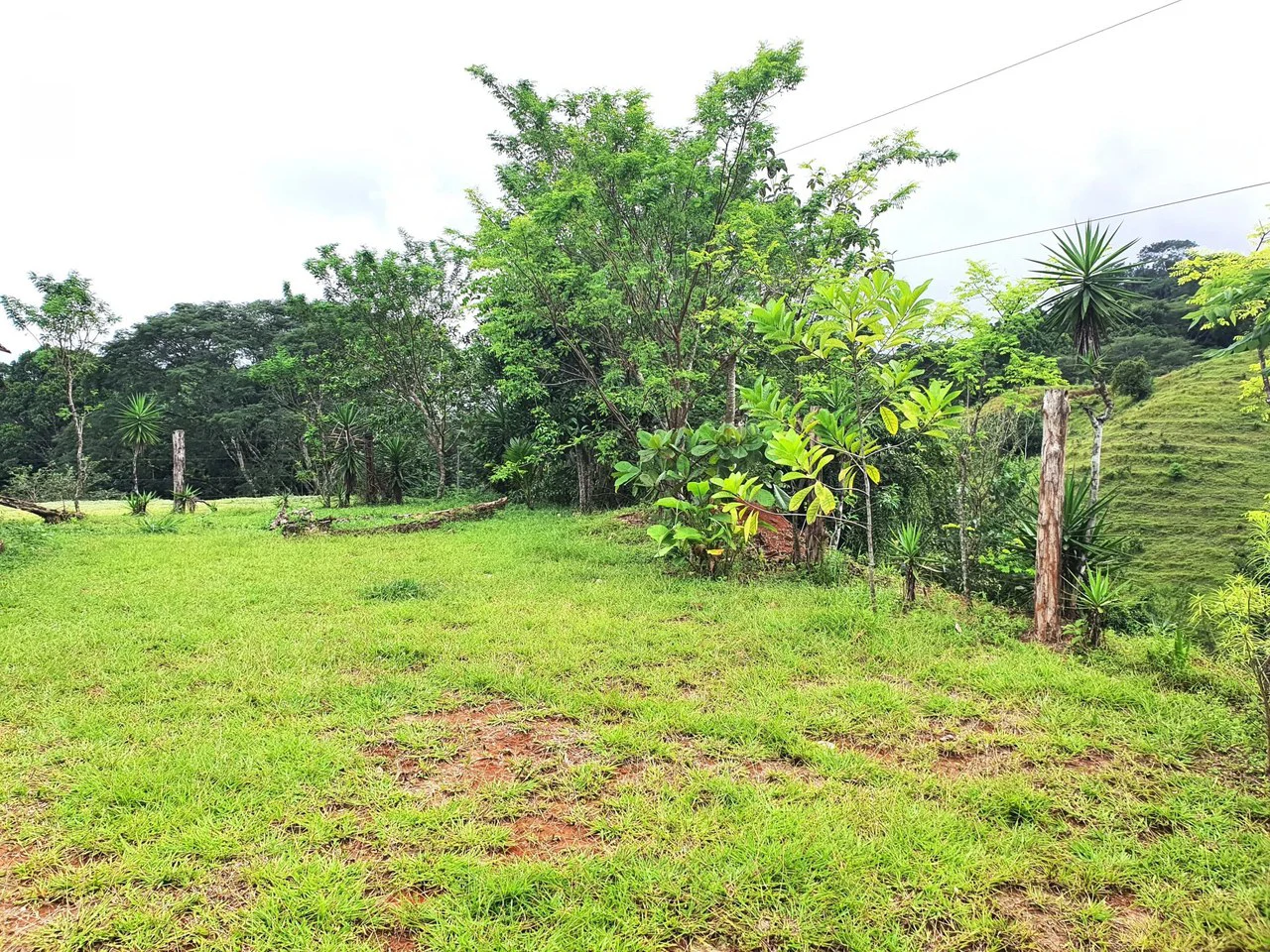 Land in Bijagual with a river crossing the property! - Gallery image 4