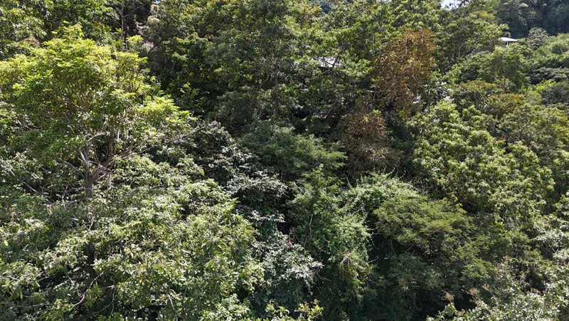 Luxury Gated Ocean-View Land Minutes from Manuel Antonio National Park and Marina - Gallery image 15