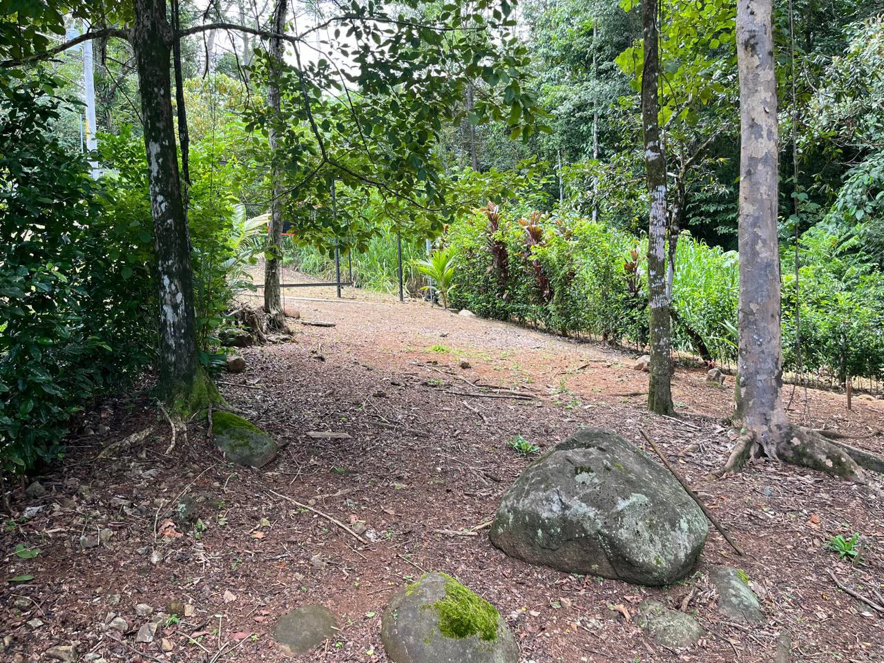 Turnkey Jungle lot in Downtown Uvita