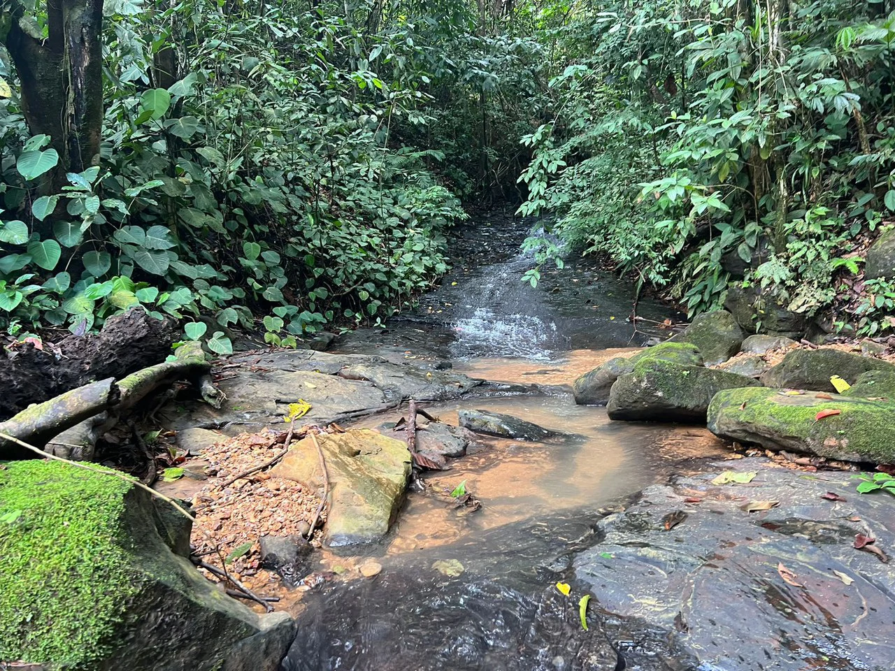 47 ACRES – Beautiful Mountain View Farm With Many Water Sources and Many Building Areas!!!! - Gallery image 13