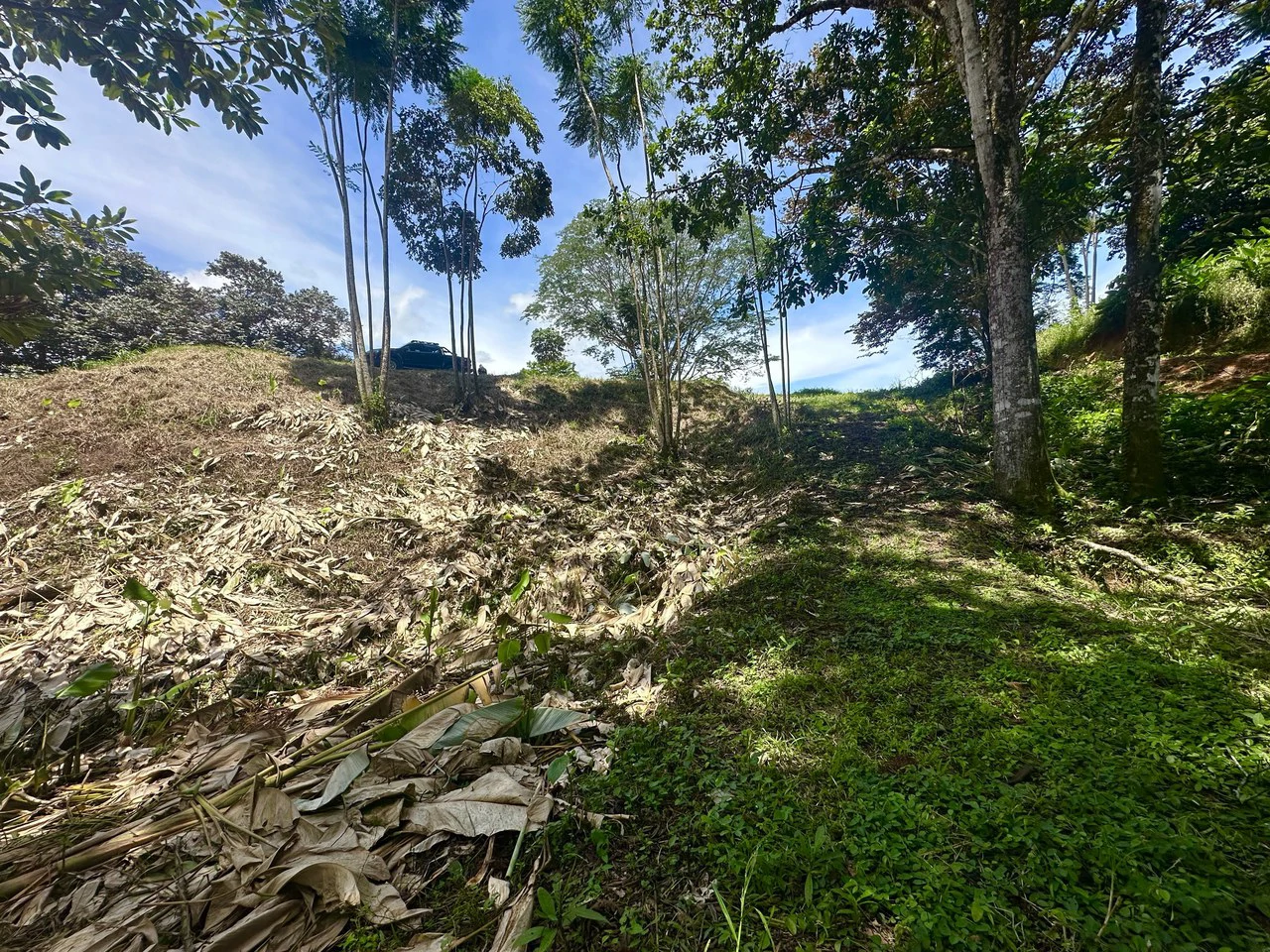 Build-Ready Lot in Ojochal’s Calle Cacique | Easy Access & Stunning Mountain Views - Gallery image 25