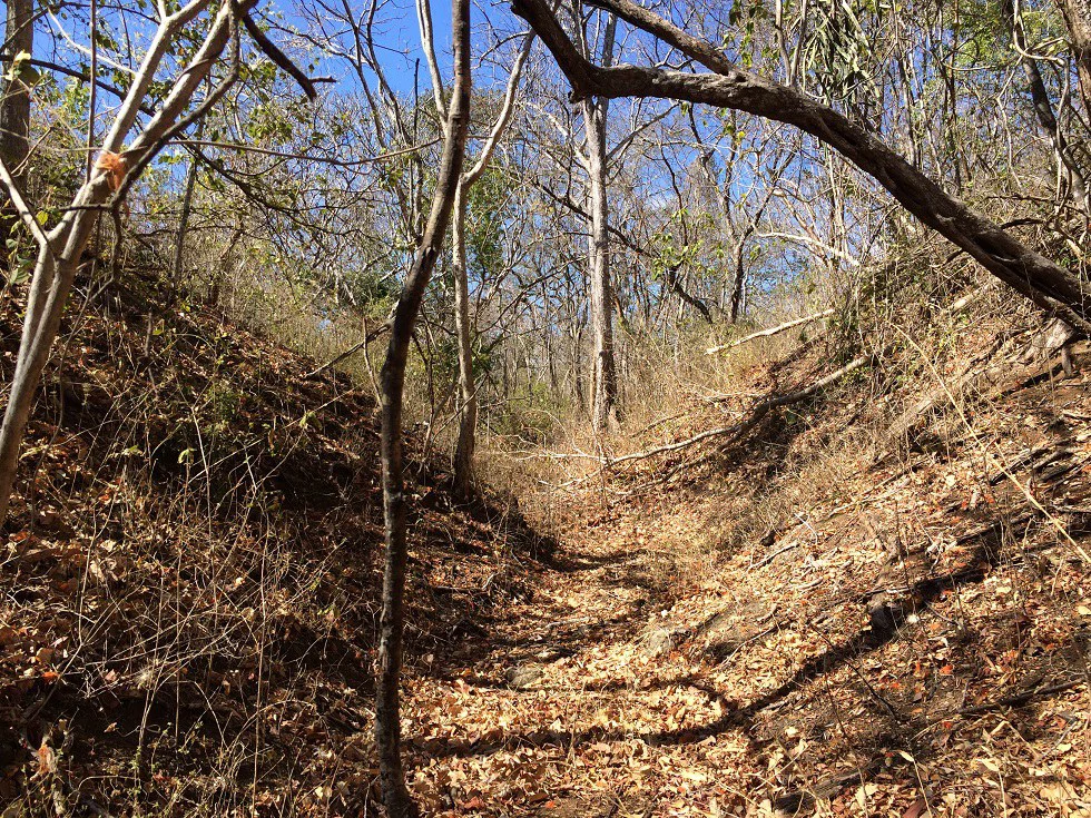 Ocean view property in the area of Guanacaste, great commercial opportunity near the Hotel Riu - Gallery image 11