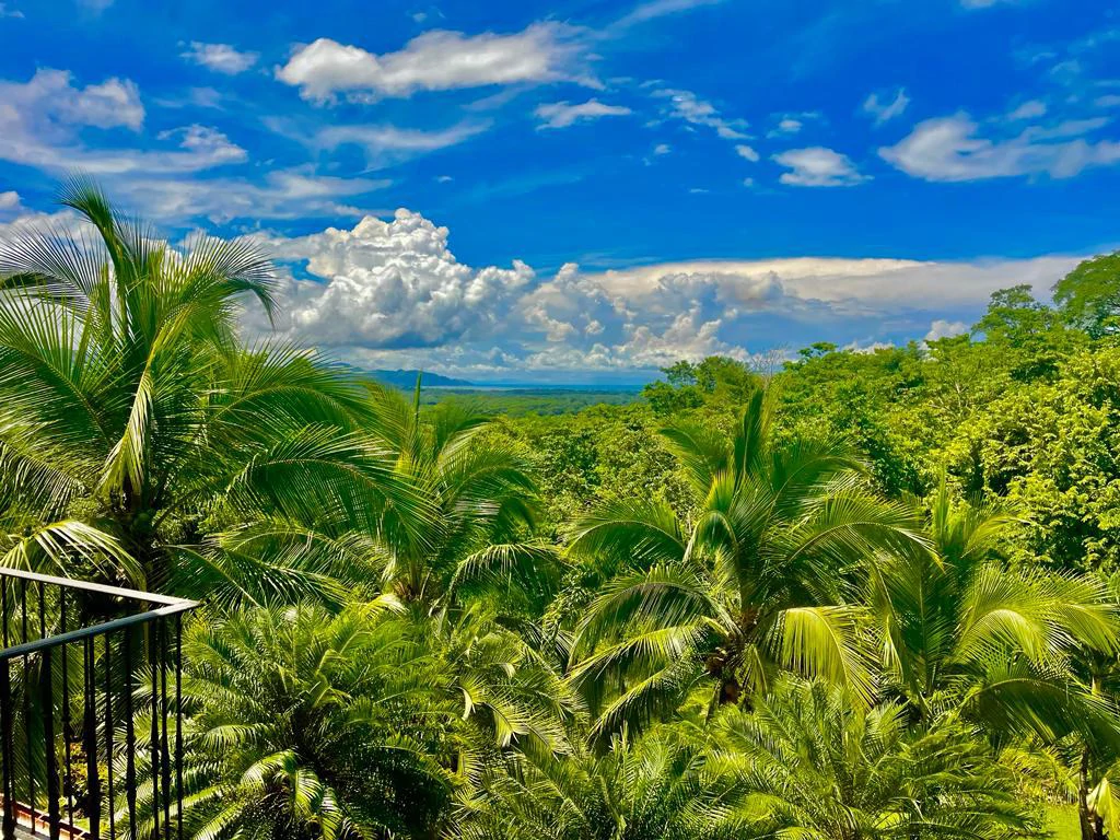 3 houses for sale with ocean views, gardens and mountains Orotina Costa Rica - Gallery image 2