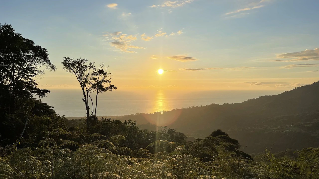 Los Nenes: Mountain Home Construction Site For Sale in Uvita - Gallery image 8