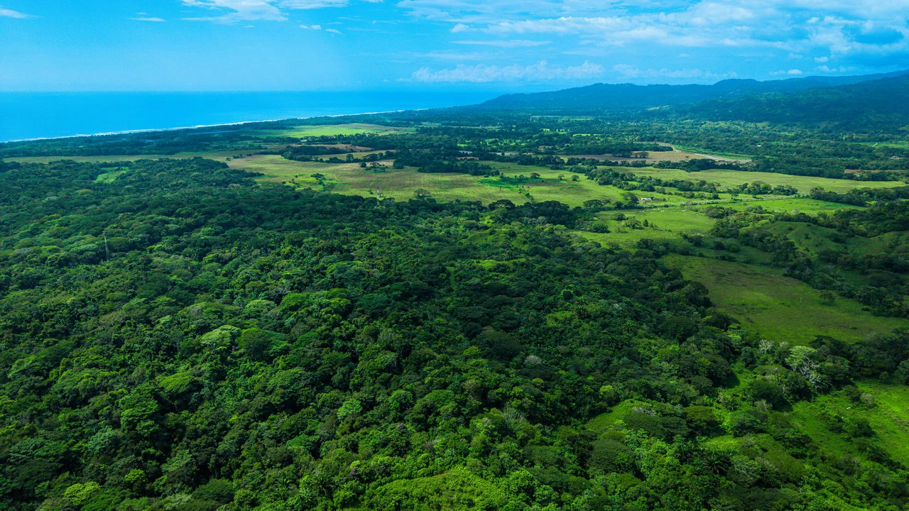 4,850 Acre Beachfront Legacy Ranch Esterillos Central Pacific Coast - Gallery image 22