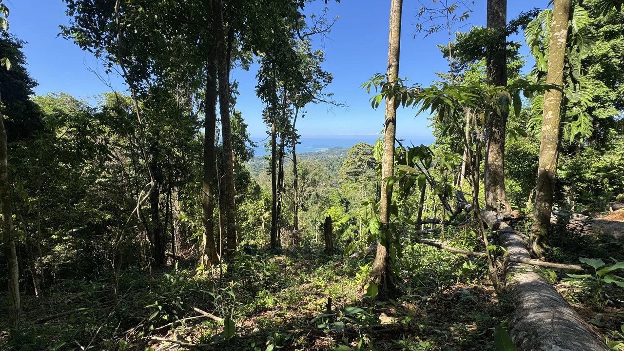 Front-Row Ocean View Lot in the Exclusive Mountains of La Unión - Gallery image 8