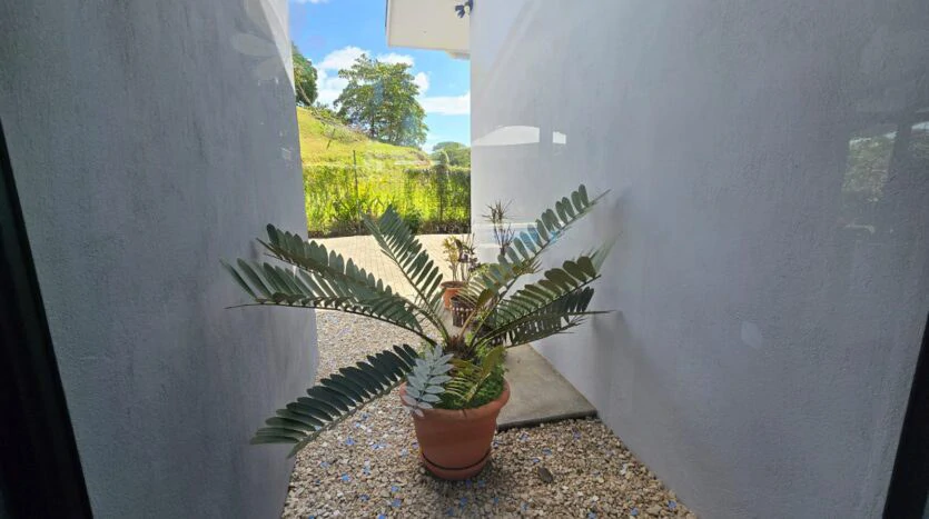 Beautiful Casa Irina, with pool and large yard: Close to the beach in tranquil Monterrey! - Gallery image 22