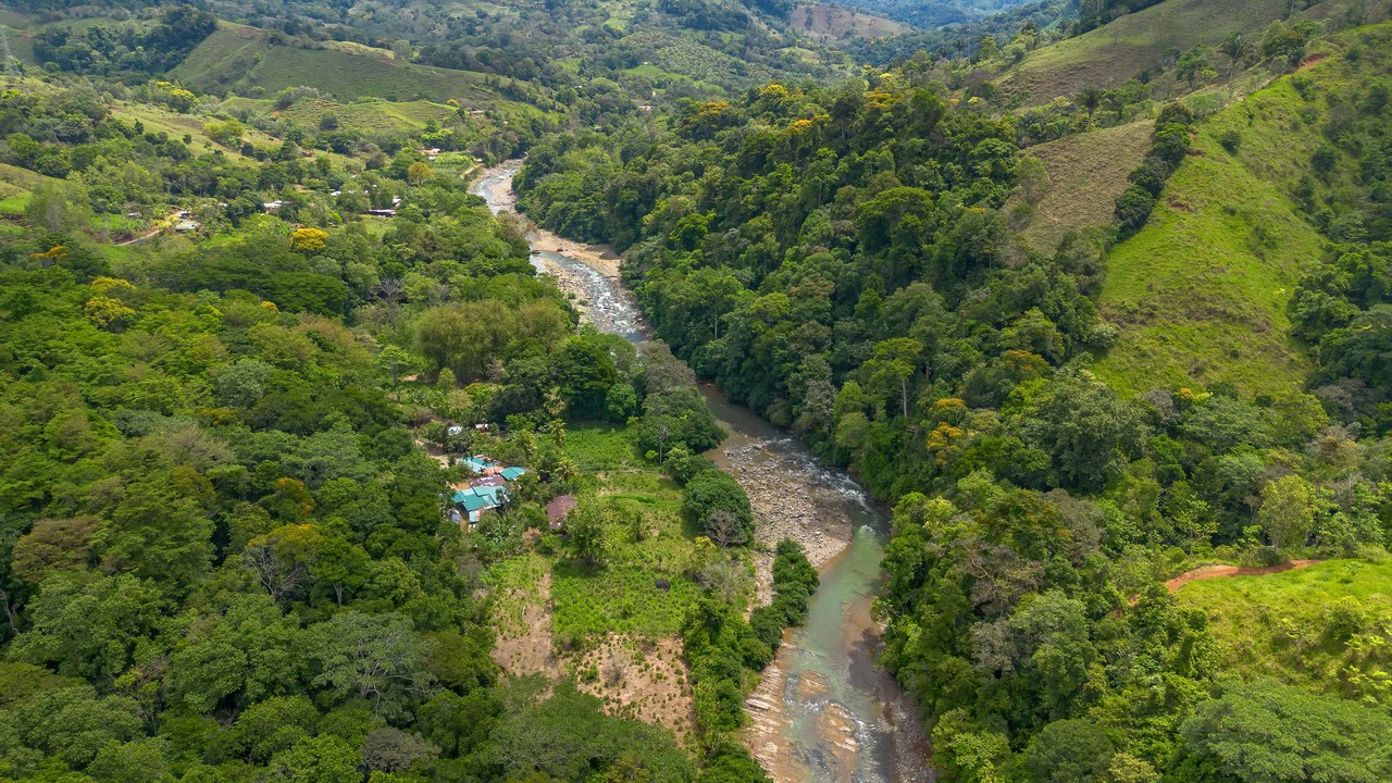 60+ Hectares in Platanillo | Own Your Own Mountain in Costa Rica - Gallery image 39
