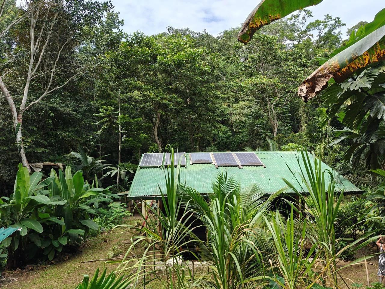 Mountain-Edge Sanctuary with Private Waterfall: 3 Titled Jungle Lots with Platforms, Waterfall, and Income Potential - Gallery image 12