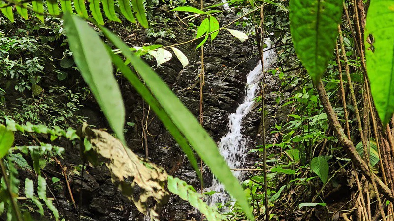 Finca Makambu: Countryside, Mountain, Near the Coast and Riverfront Property For Sale in Barú - Gallery image 13