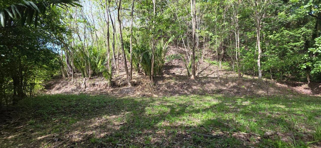 Lote Ceiba: Beautiful Peaceful Lot Near Barrigona Beach - photo 2