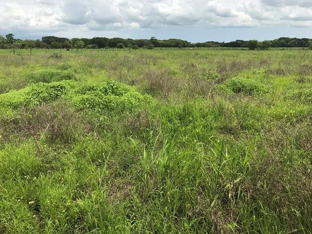 Commercial Development Land for Sale in Guanacaste, Costa Rica - Gallery image 2