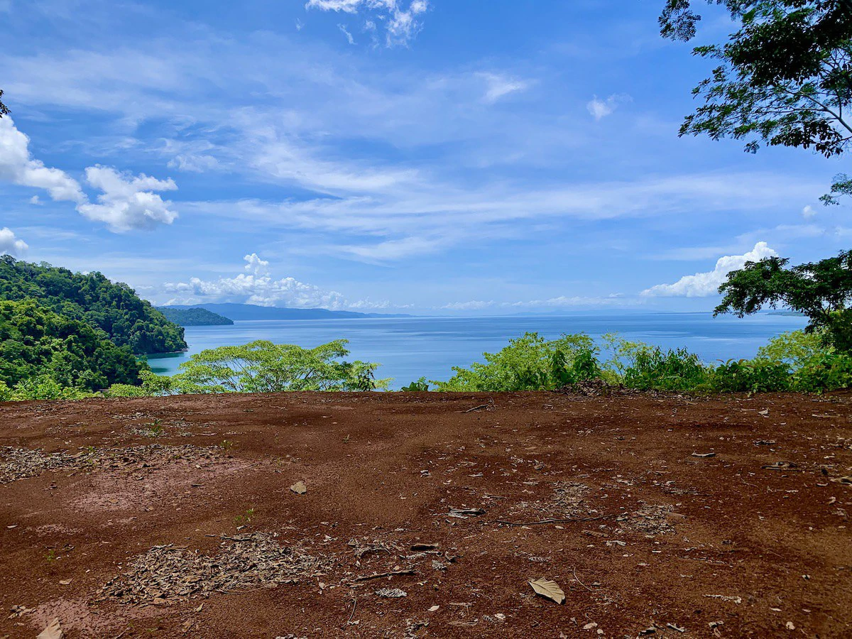 Spectacular Coastal Rainforest Estate Property - Gallery image 19