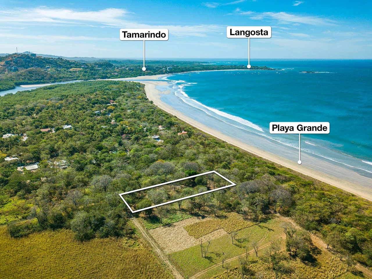 Playa Grande Lot #1: Titled Beachfront Estate Lot Playa Grande - Gallery image 5