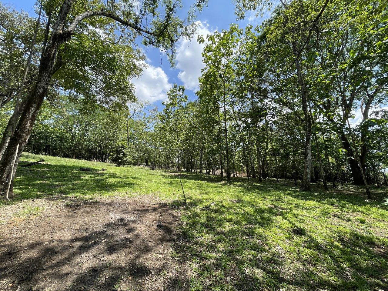 Property for Sale San Mateo - Gallery image 11