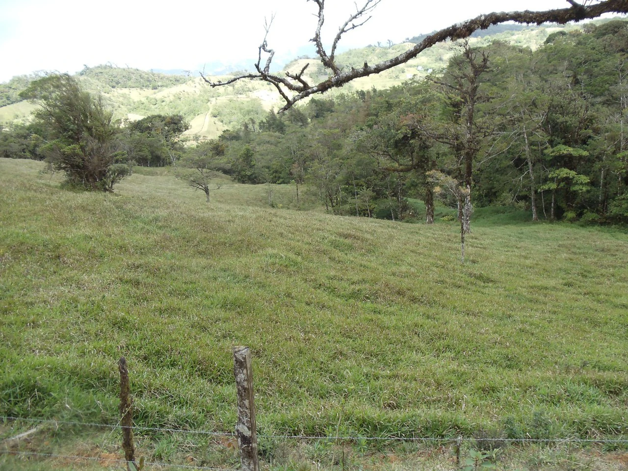Fantastic property near Biological Reserve - Gallery image 14