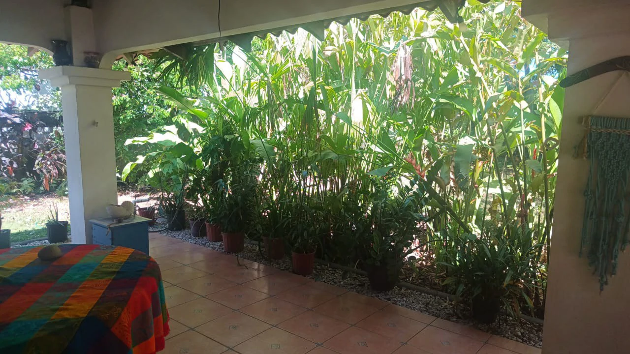 Private Home with Apartment, Pool, and Tropical Garden for Sale in Playas del Coco - Gallery image 3