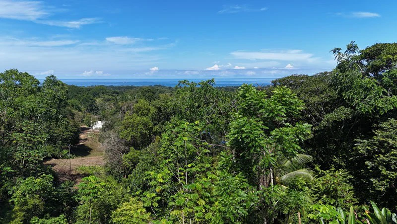 Ocean-View Retreat in Jardines de Morete, Uvita - Gallery image 3