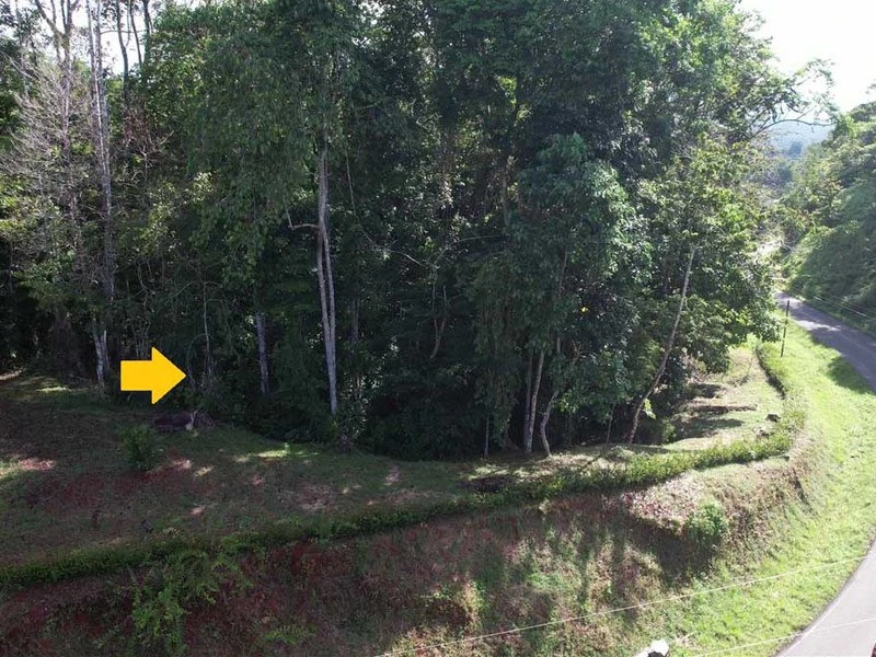 2.47 Acres Property | Mountain Top Ocean View lot in Bahía Chal - Gallery image 13