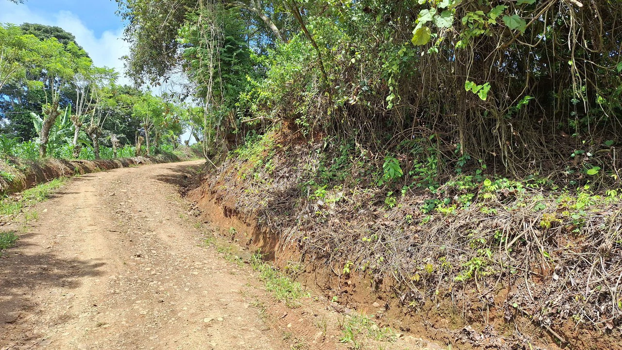 Spacious Lot For Sale In The Heart Of Pejibaye — Private Spring & Mountain Views - Gallery image 9