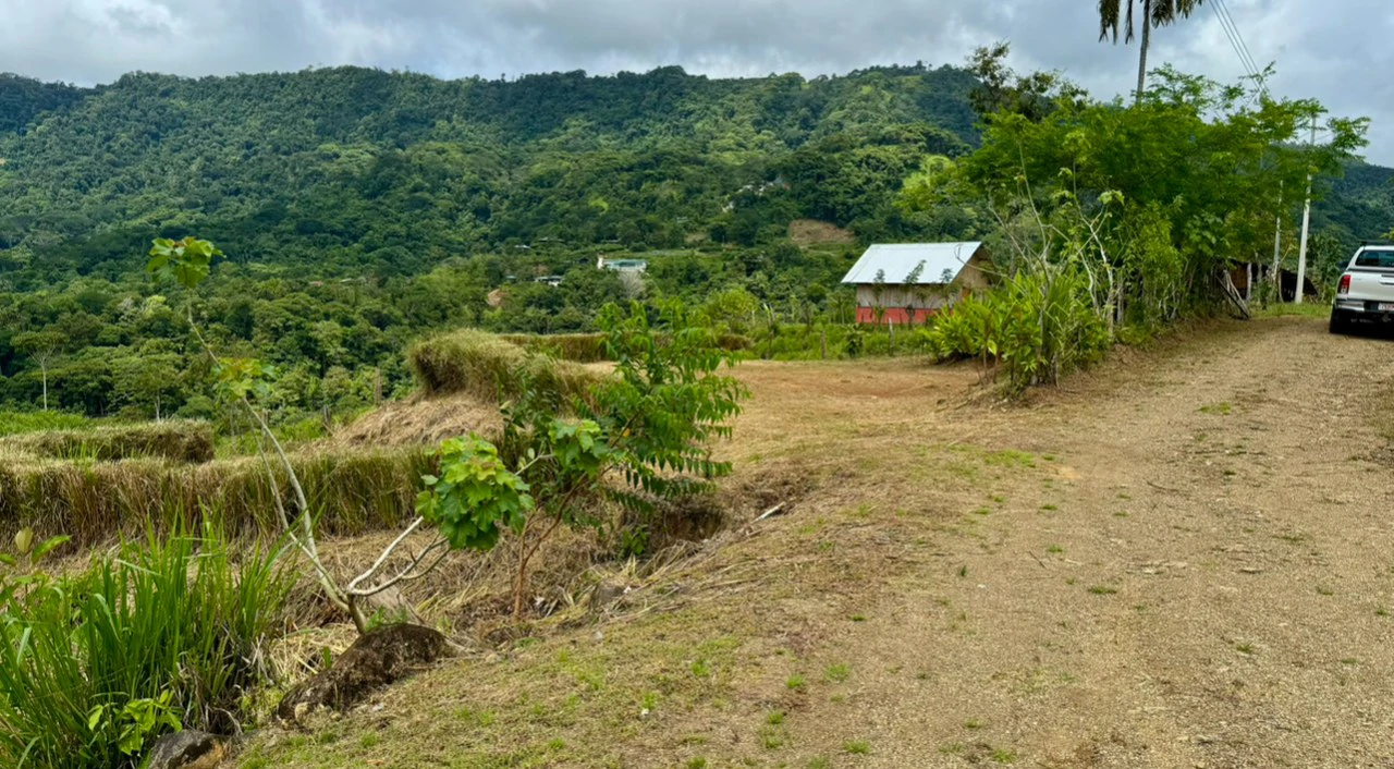 Spring and Waterfall!  3,2 Acres lot in Uvita Mountains - Gallery image 12