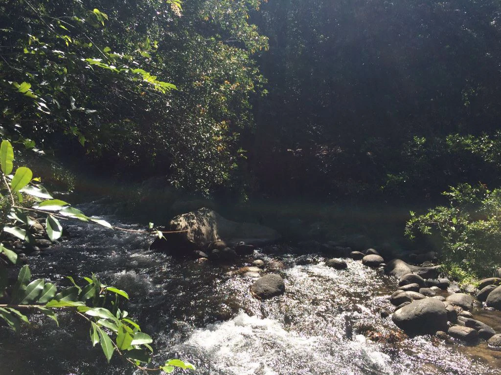 Large Property in Curubandé of Liberia - Gallery image 12