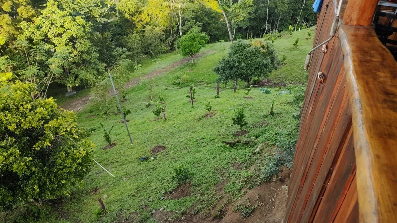 Agricultural Farm for Sale in the mountains of Hojancha, Beautiful 25-acre property with floating lake Apartment and Huge main home - Gallery image 13