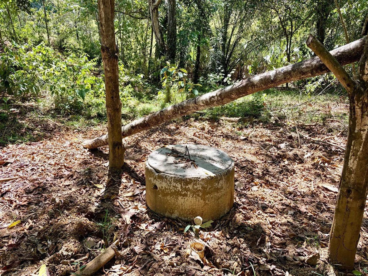 8.77 ACRES – Private Land Just 20 Min to Dominical, Beautiful Mountain Views, Legal Water, Electricity, Public Road, Private Setting, Ready to Build!!!! - Gallery image 10