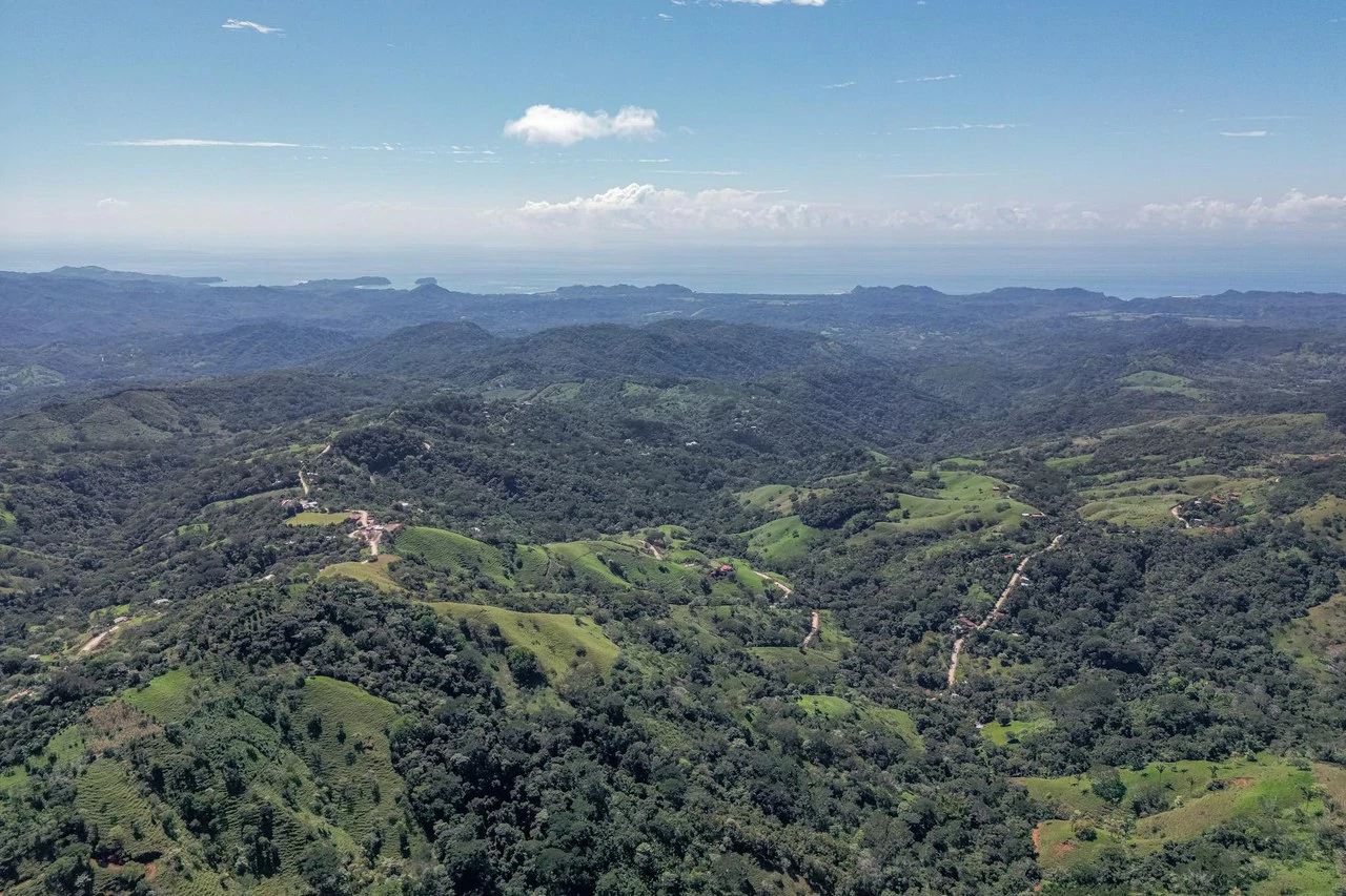 Silent Ridge: 2 Hectares With Ocean View - Gallery image 3