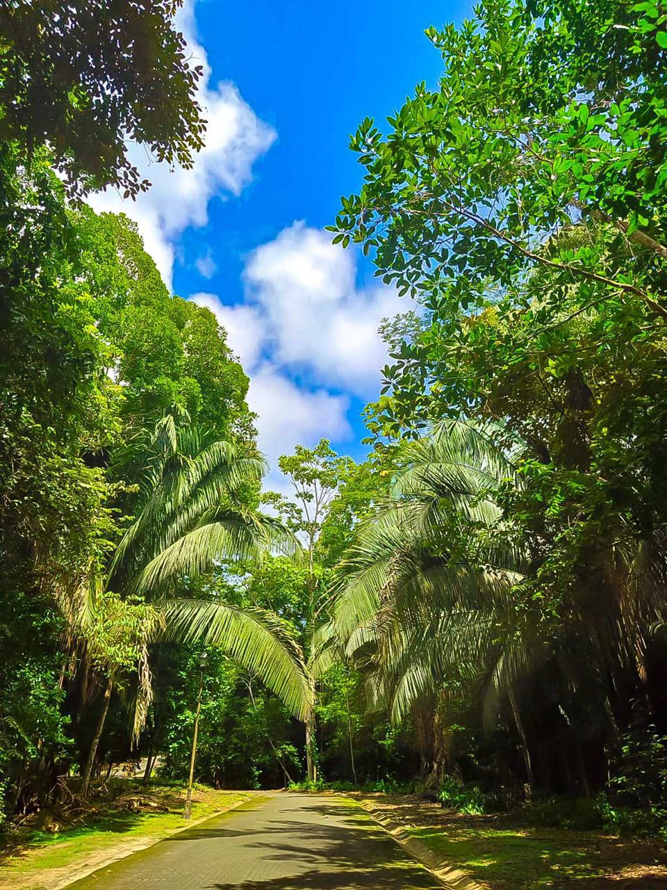 LAND FOR SALE IN COSTA ESTERILLOS ESTATES - Gallery image 3