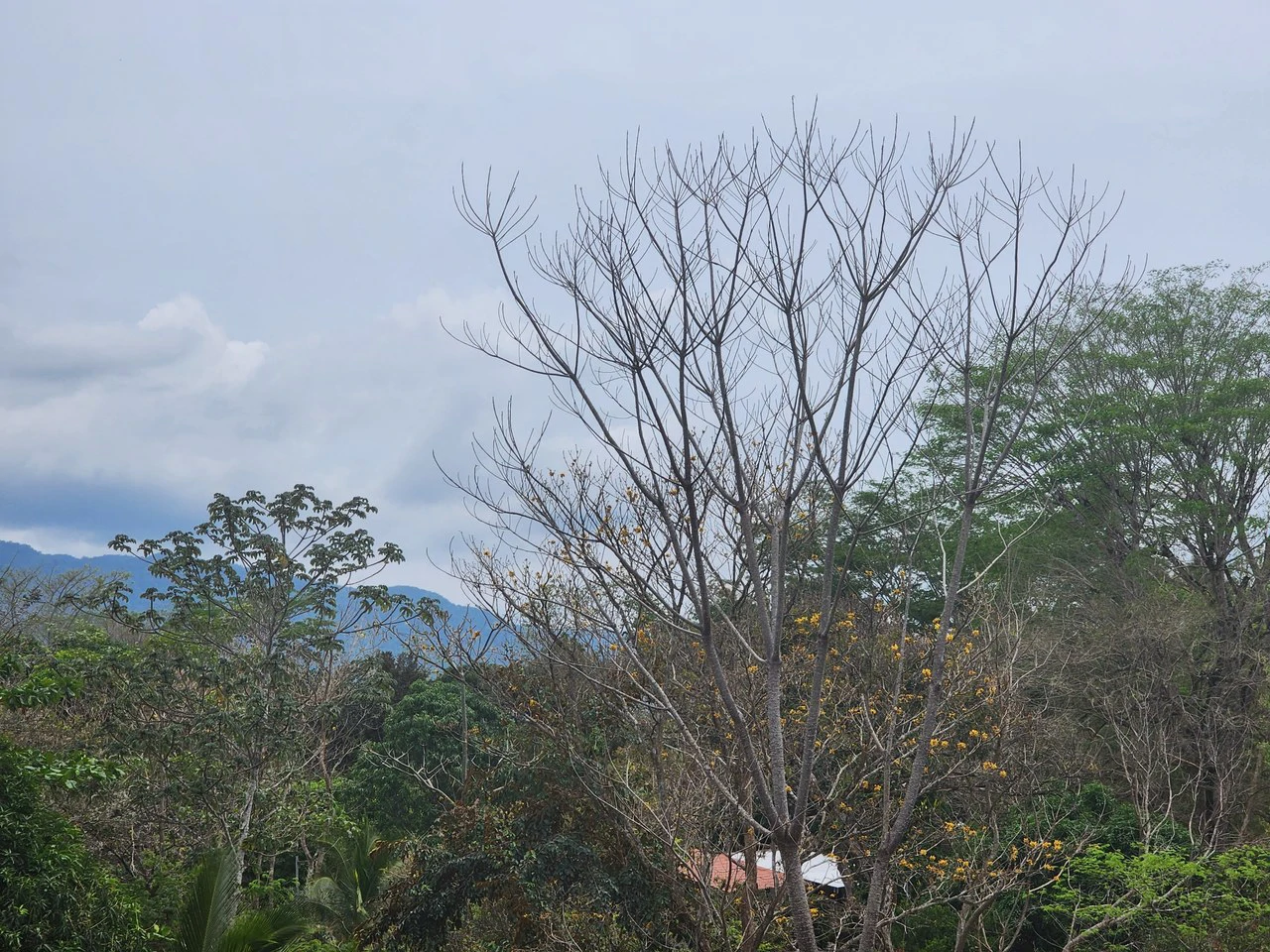 Countryside and Mountain Home Construction Site For Sale in San Juan de Mata - Gallery image 5