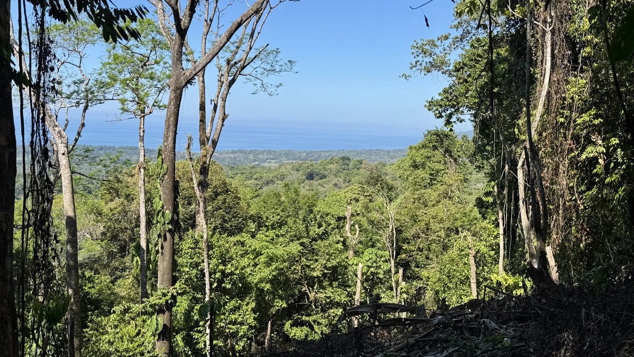 Unique Opportunity, Panoramic Ocean Views of the Whale's Tail Beach! - Gallery image 5