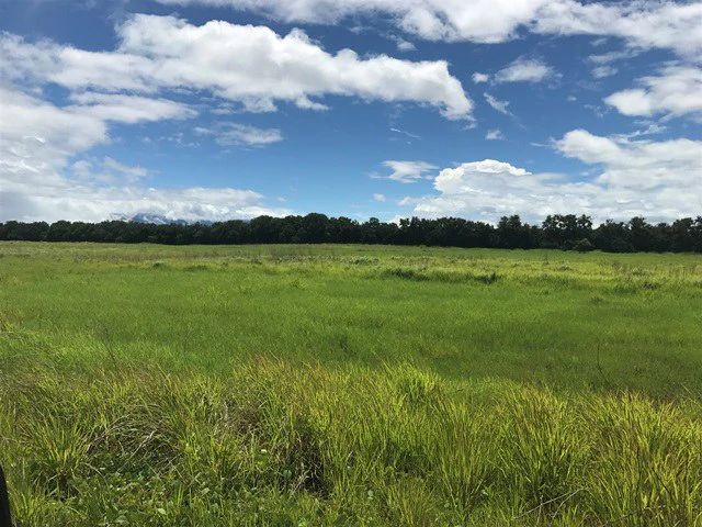 NYA project Price $ 17 m². 21 hectares - Gallery image 11