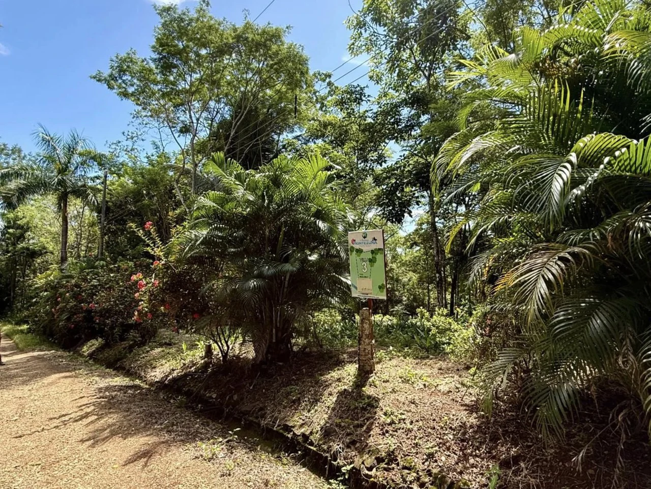Suenos Montezuma: Jungle lot, but in a gated community close to Cobano and Montezuma.  Shopping in one direction, and surf town in the other.  "Suenos Montezuma"   5000m2, Lot #3  $250,000. USD - Gallery image 6