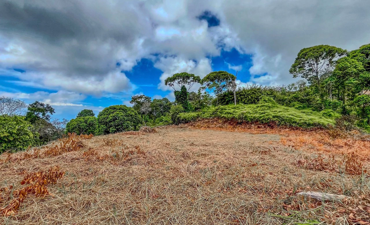 1.32 ACRES- Spectacular Ocean View In Tres Rios, Large Building Site, Legal Water And Electricity, Ready To Build & Close to Beaches!! - Gallery image 9