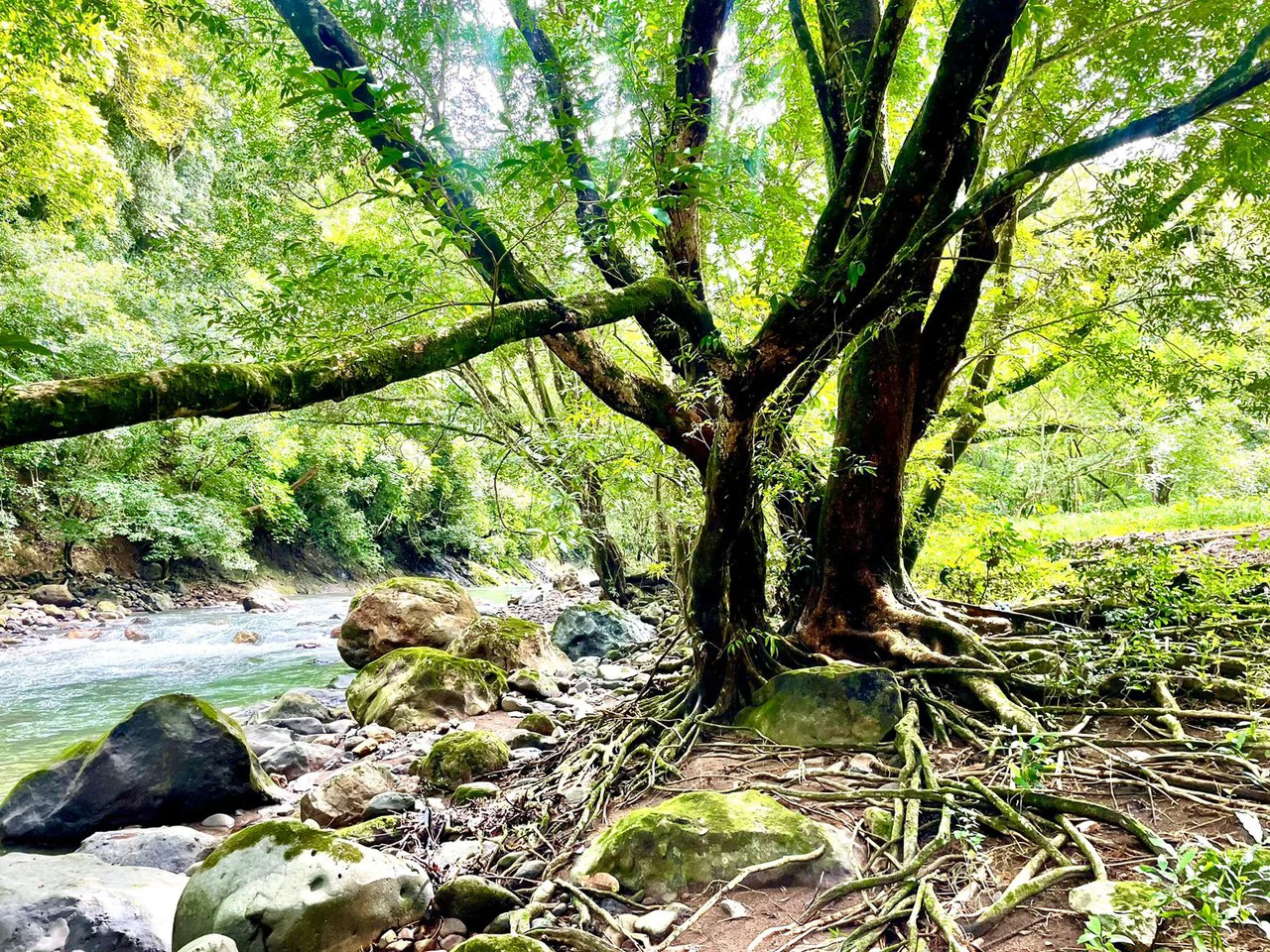 Property for Sale for Tourism Development with River in Orotina Alajuela Costa Rica - Gallery image 8