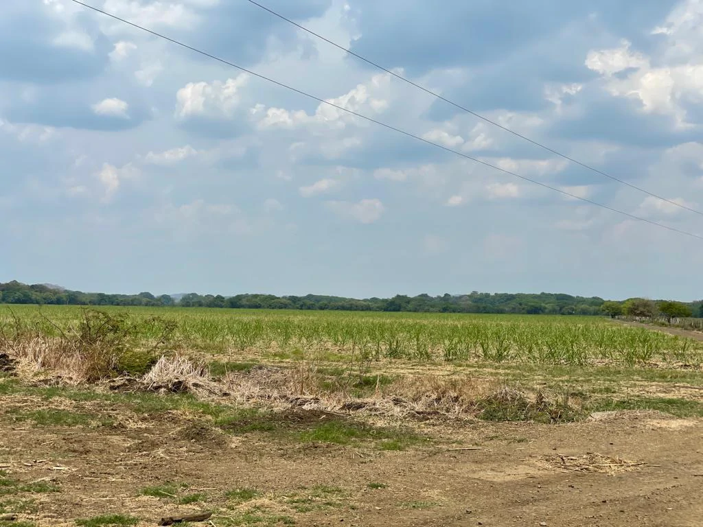 Farm for Sale to Develop Guanacaste Costa Rica - Gallery image 4