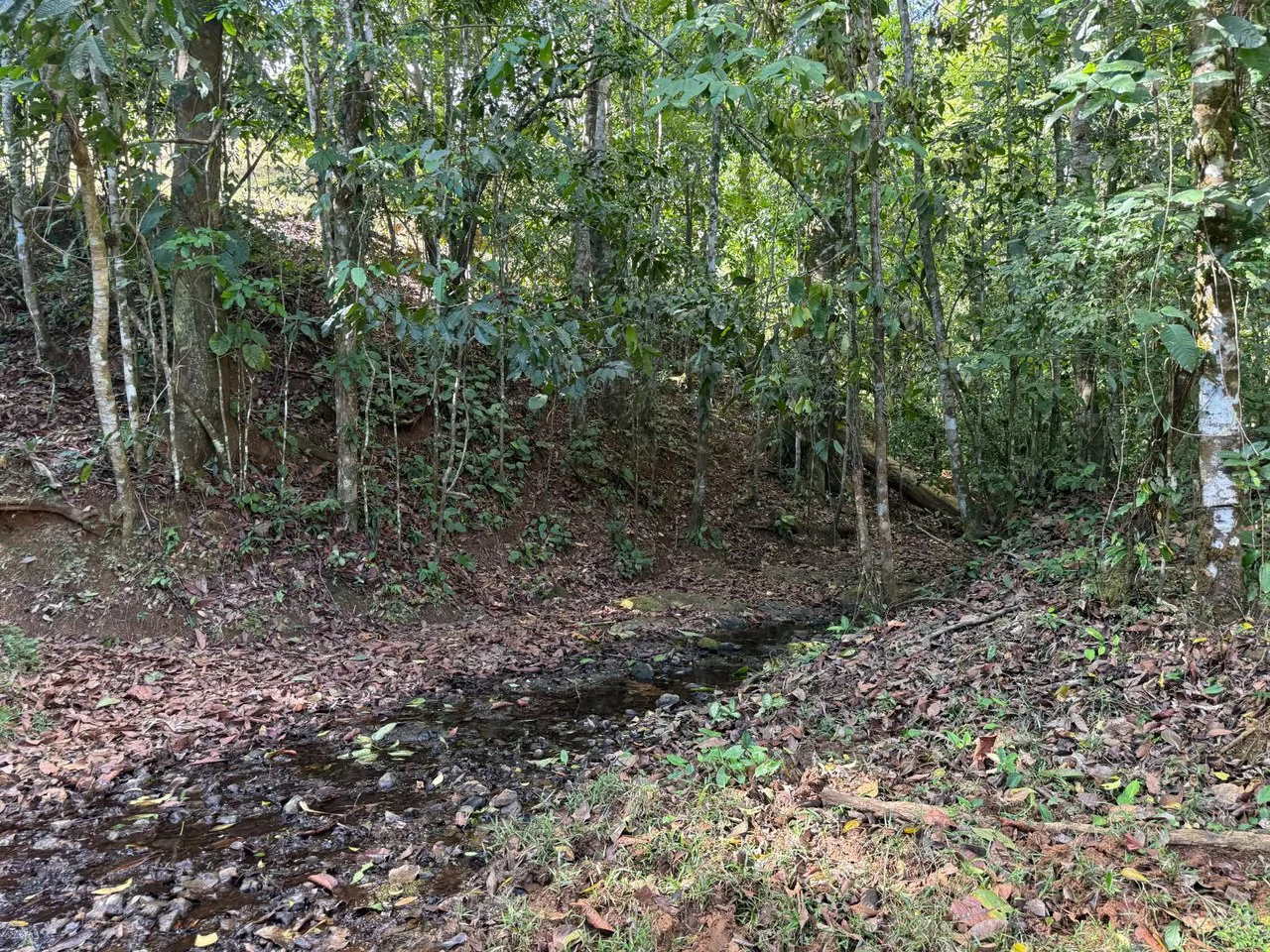 11.4 Hectare Mountain Estate: Lush Forest, River & Farm Potential in Arenal Puriscal , San Jose - Gallery image 24