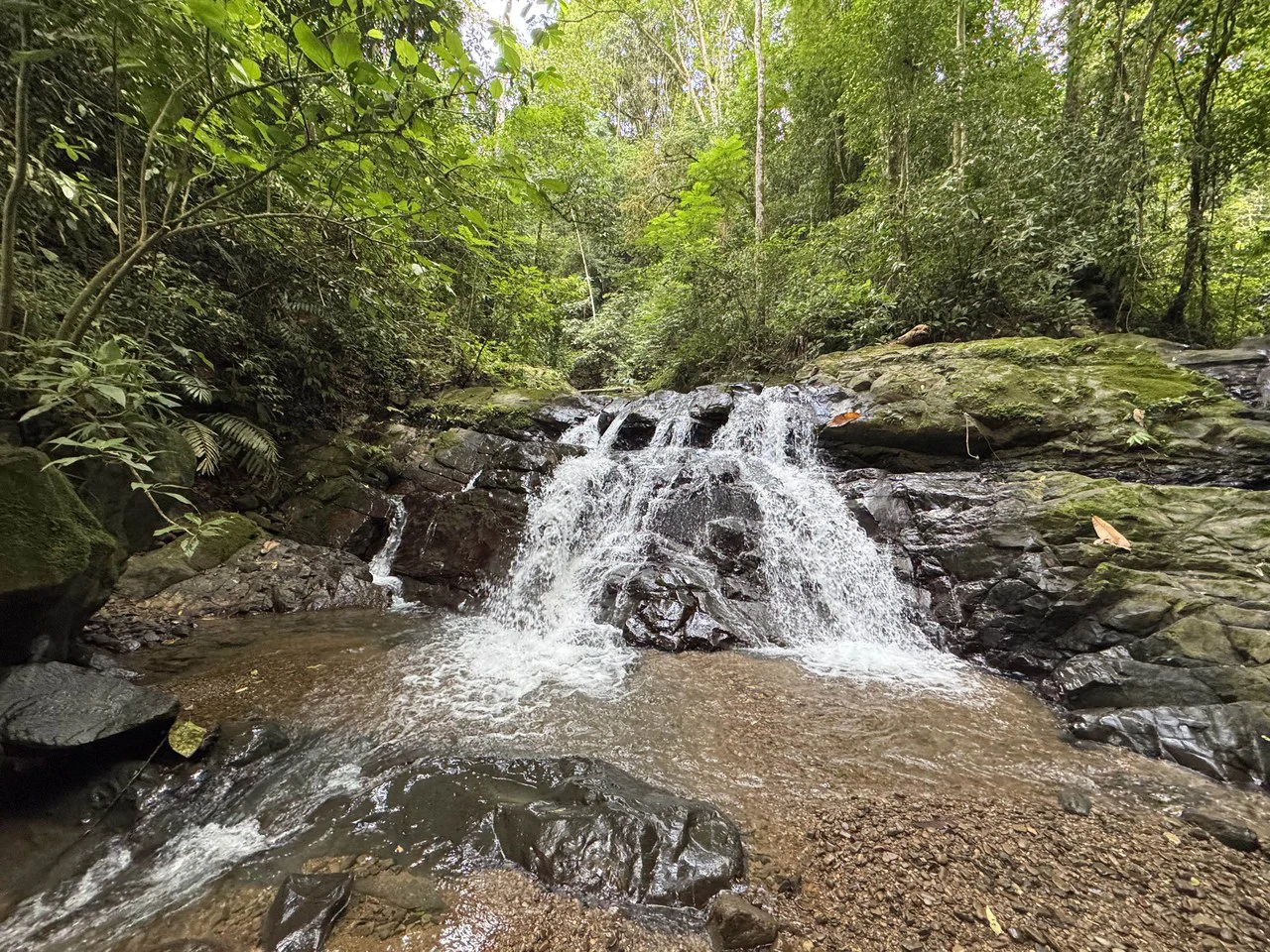 23.5 Acre Waterfall & Riverfront Estate Bahia Ballena Osa Peninsula - Gallery image 5