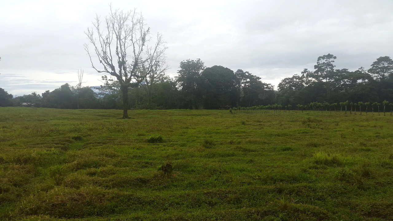 Countryside Development Parcel For Sale in Cariari - Gallery image 20