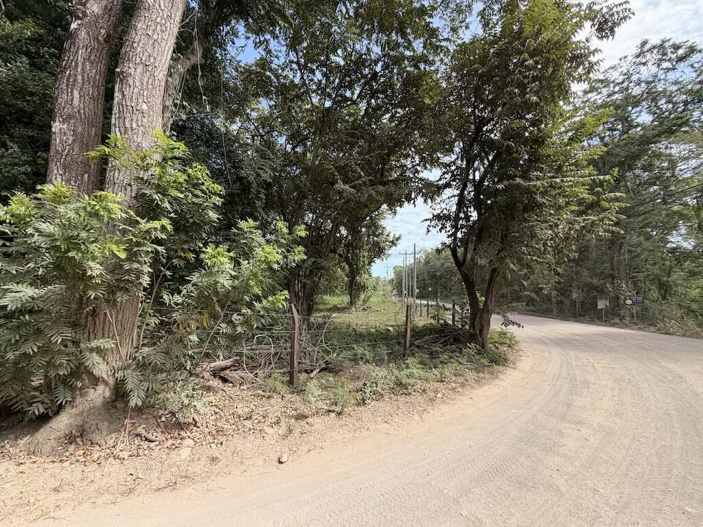 Build-Ready Lot: Palm Beach Estates - photo 9
