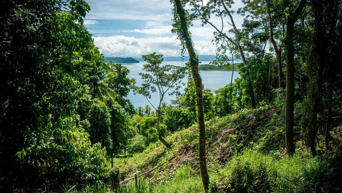Rincon Mountain Land Gulf View | A Breathtaking Landscapes of Rincon - Gallery image 19